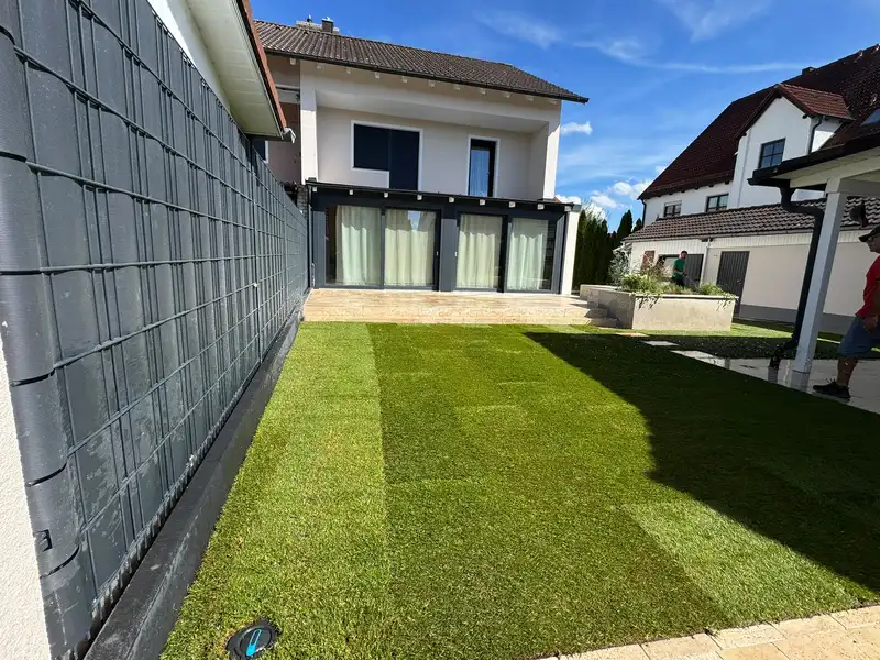 Frisch verlegter Rasen neben Sichtschutz und Terrasse
