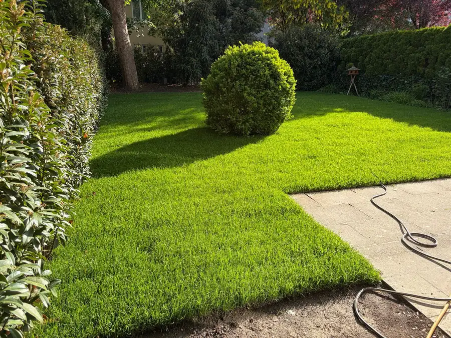 Garten mit fertig verlegtem Rollrasen