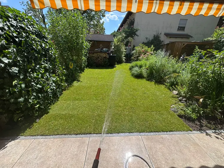 Frisch verlegter Rasen wird im Garten gegossen