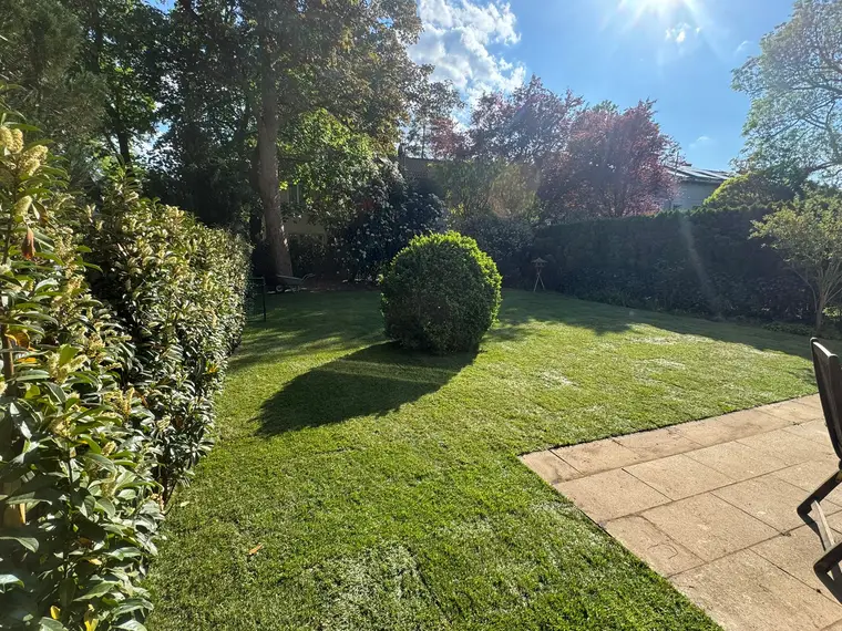 Sonniger Garten mit gepflegtem Rasen und Hecken